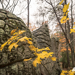 Rocktown Trail at Pigeon Mountain